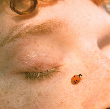 Photo of ladybug on a girls cheek