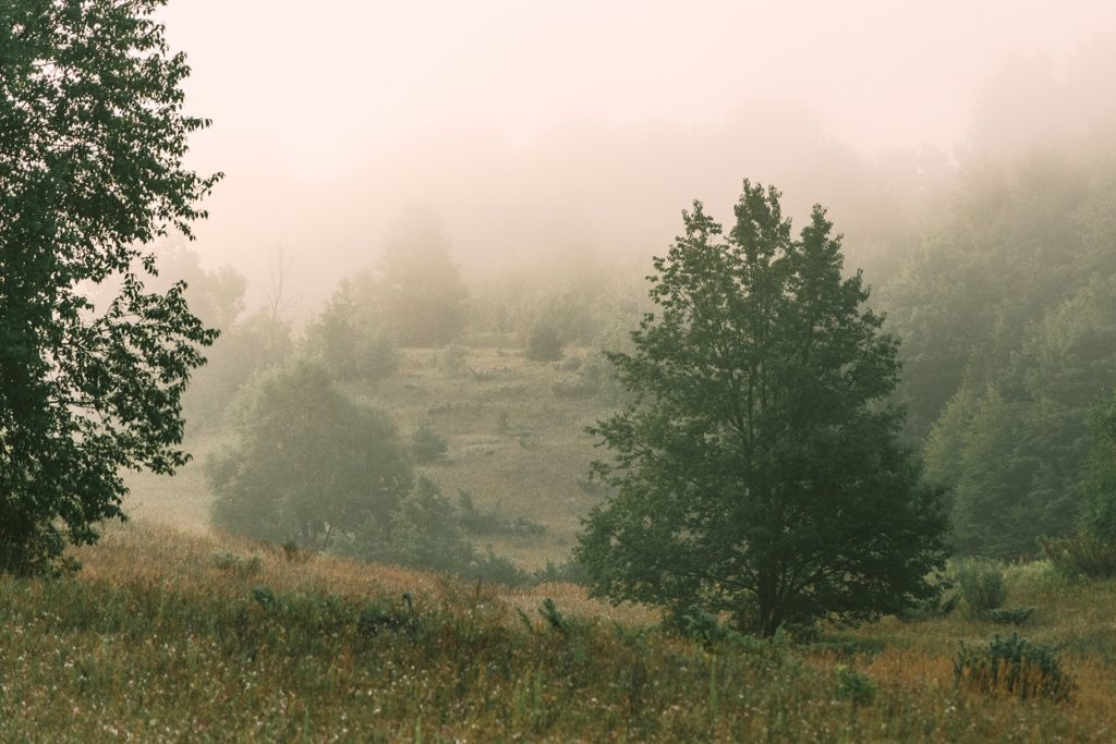 Leland-Next-LACP-2196-1