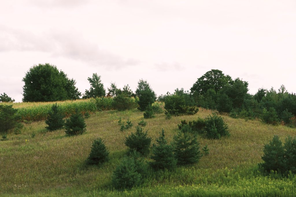 Leland-Next-LACP-0096