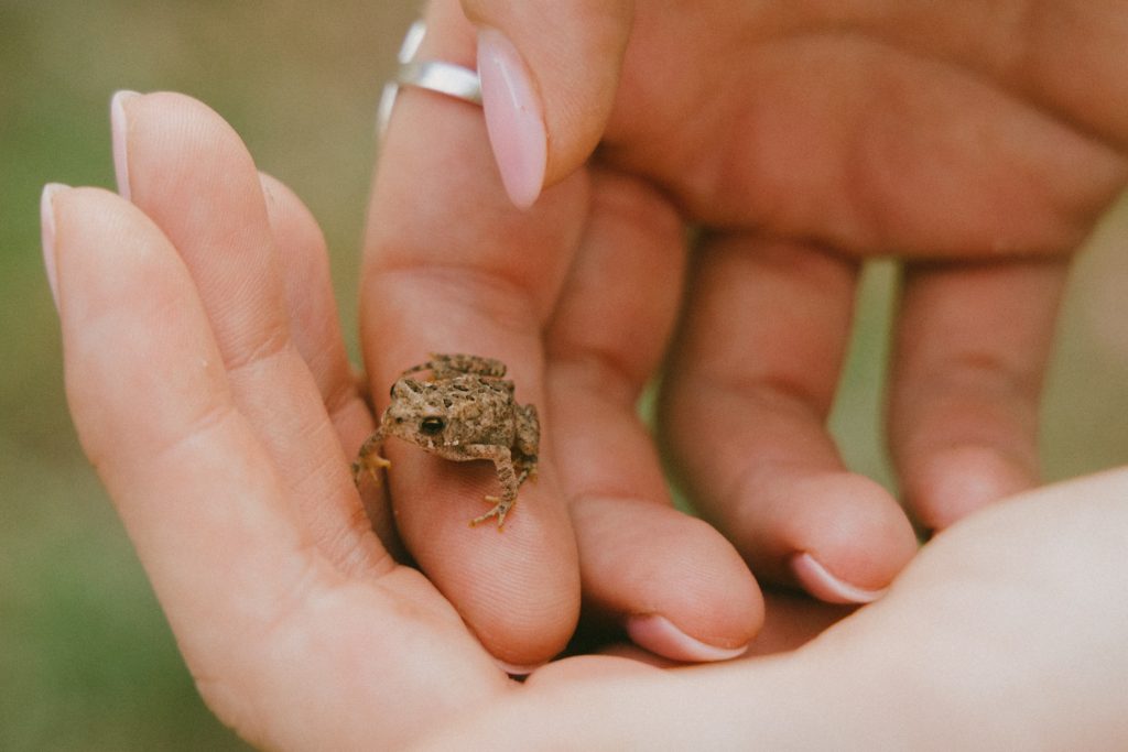 Web-Leland-Next-LACP-1410